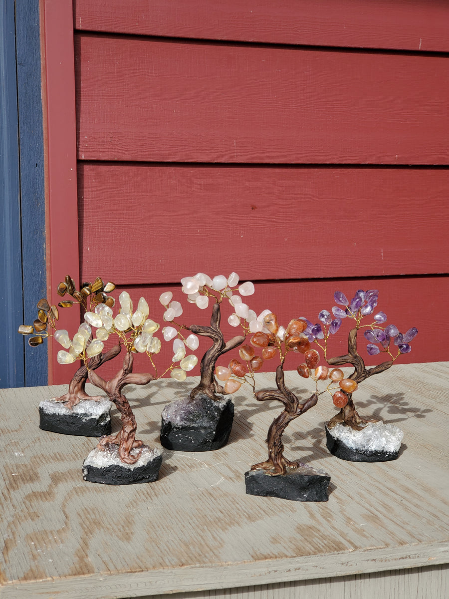 money tree crystals Natural polished crystal Money Tree – Colorado Crystal Connections