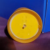 Zodiac Soy Candle