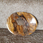 Natural polished Petrified Wood bowl