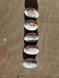 Natural polished Dendritic Opal palm stone