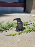 Natural carved Onyx Raven