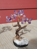 Natural polished crystal Money Tree