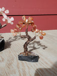 Natural polished crystal Money Tree