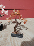 Natural polished crystal Money Tree
