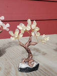 Natural polished crystal Money Tree