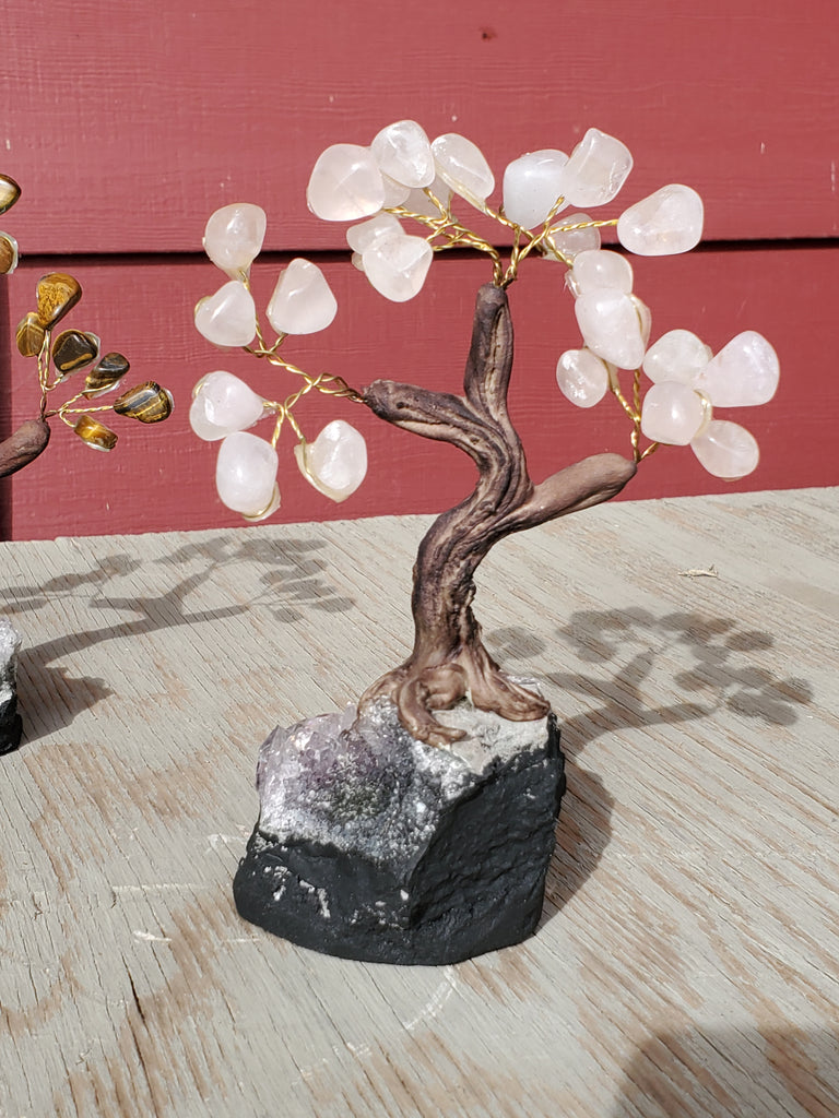 money tree colorado Natural polished crystal Money Tree – Colorado Crystal Connections