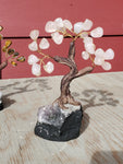 Natural polished crystal Money Tree