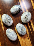 Natural polished Dendritic Opal palm stone