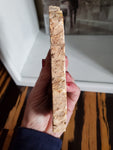 Natural polished Petrified Wood slab