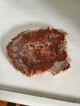 Natural polished Petrified Wood slab