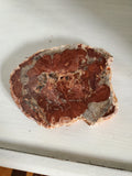 Natural polished Petrified Wood slab