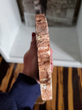 Natural polished Petrified Wood slab