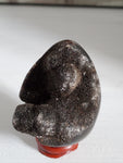 Natural polished and raw Septarian egg