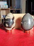 Natural polished and raw Septarian egg