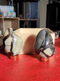 Natural polished and raw Septarian egg