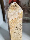 Natural polished Petrified Coral point