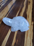 Natural polished carved Agate turtle