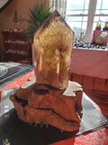 Natural polished Smokey Quartz point on wood stand