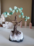 Natural polished crystal Money Tree