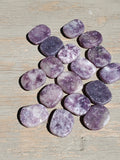 Natural polished mini palm stone