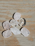 Natural polished mini palm stone