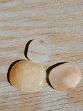 Natural polished mini palm stone