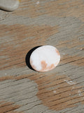 Natural polished mini palm stone