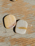 Natural polished mini palm stone