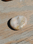 Natural polished mini palm stone