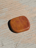 Natural polished mini palm stone