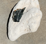 Natural Vivianite Shard 35g