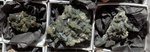 Natural Quartz and Fluorite specimen