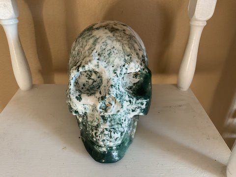 Natural Green Tree Agate skull
