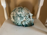 Natural Green Tree Agate skull