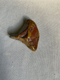 Natural Polychrome Jasper piece