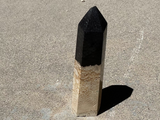 Polished Palm Root point