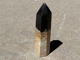Polished Palm Root point