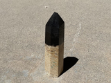 Polished Palm Root point