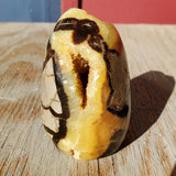 Natural polished Septarian free form