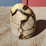 Natural polished Septarian free form