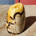 Natural polished Septarian free form