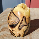 Natural polished Septarian free form