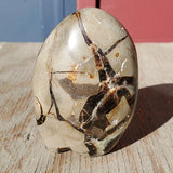 Natural polished Septarian free form