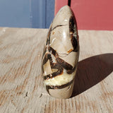 Natural polished Septarian free form