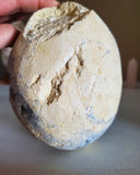 Natural raw Celestite egg