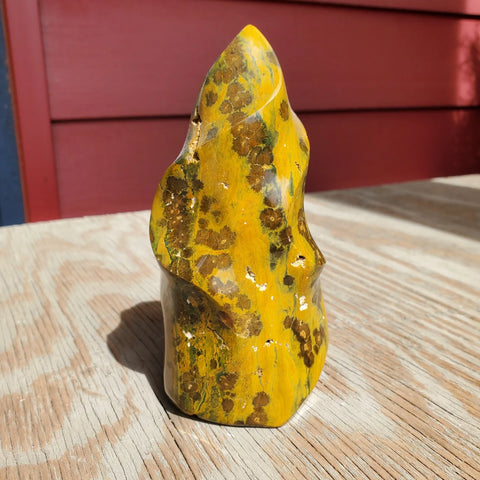 Natural polished Sea Jasper flame