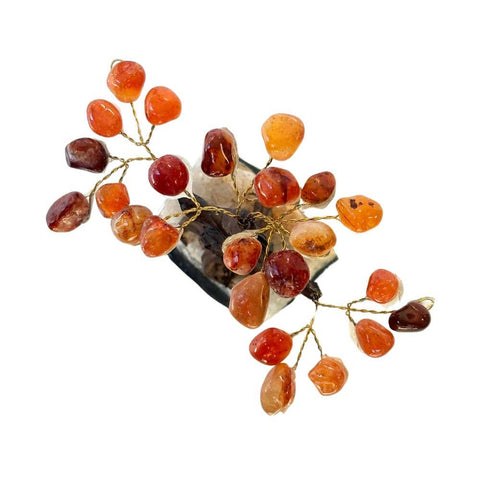 chinese carnelian crystal money tree Feng Shui Money Tree