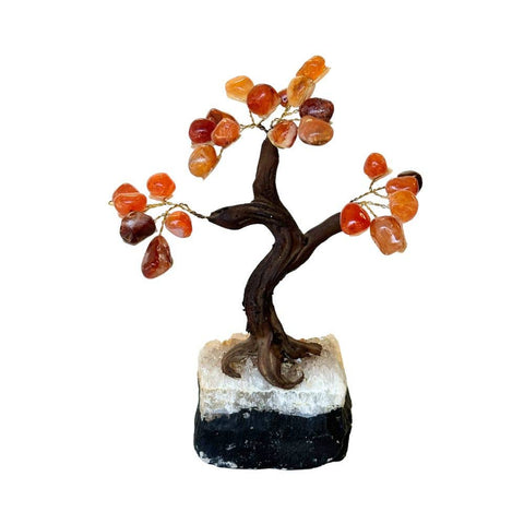 chinese carnelian crystal money tree Feng Shui Money Tree