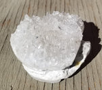 Clear Quartz Critter