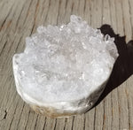 Clear Quartz Critter